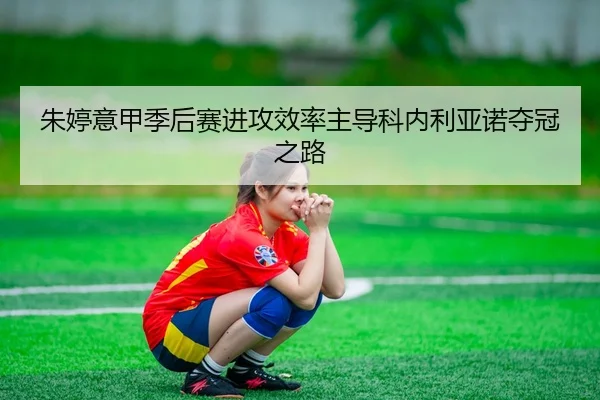 zhu-ting-yi-jia-ji-hou-sai-jin-gong-xiao-lv-zhu-dao-ke-nei-li-ya-nuo-duo-guan-zhi-lu-3-881.jpg