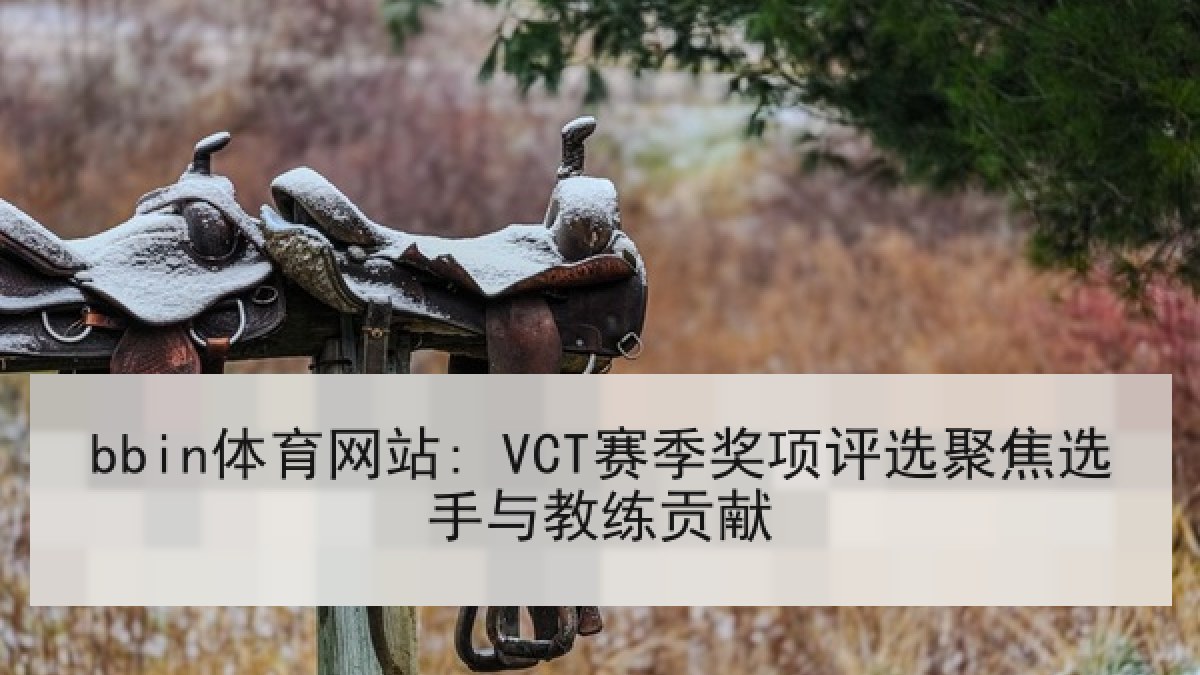 bbin体育网站: VCT赛季奖项评选聚焦选手与教练贡献