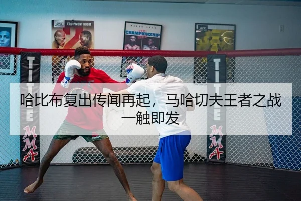 ha-bi-bu-fu-chu-chuan-wen-zai-qi-ma-ha-qie-fu-wang-zhe-zhi-zhan-yi-chu-ji-fa-2-918.jpg