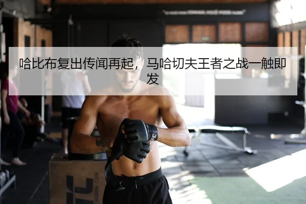 哈比布复出传闻再起，马哈切夫王者之战一触即发