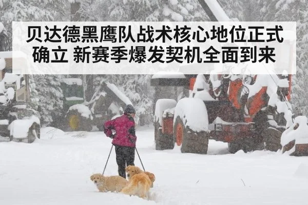 贝达德黑鹰队战术核心地位正式确立 新赛季爆发契机全面到来